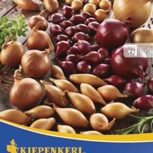 Vrtnarstvo Breskvar - Allium cepa Trio