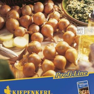 Vrtnarstvo Breskvar - Allium cepa Yellow Moon