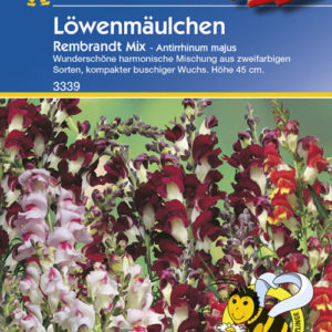 Vrtnarstvo Breskvar - Antirrhinum majus Rembrandt Mix