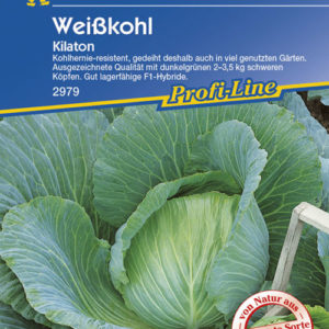 Vrtnarstvo Breskvar - Brassica oleracea capitata Kilaton F1