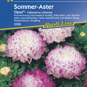 Vrtnarstvo Breskvar - Callistephus chinensis Opus