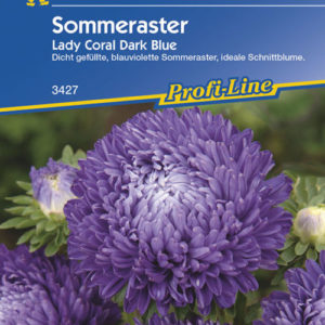 Vrtnarstvo Breskvar - Callistephus chinensis Lady Coral Dark Blue