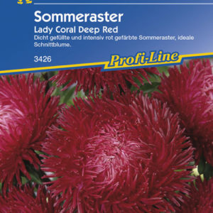 Vrtnarstvo Breskvar - Callistephus chinensis Lady Coral Deep Red