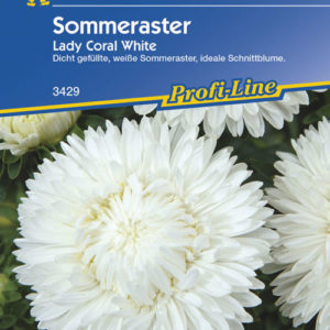 Vrtnarstvo Breskvar - Callistephus chinensis Lady Coral White