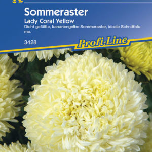 Vrtnarstvo Breskvar - Callistephus chinensis Lady Coral Yellow