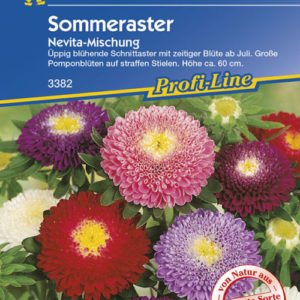 Vrtnarstvo Breskvar - Callistephus chinensis Nevita Mix