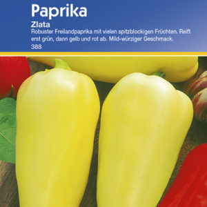 Vrtnarstvo Breskvar - Capsicum annuum Zlata