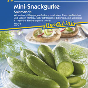 Vrtnarstvo Breskvar - Cucumis sativus Salamanda F1