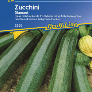 Vrtnarstvo Breskvar - Cucurbita pepo Diamant