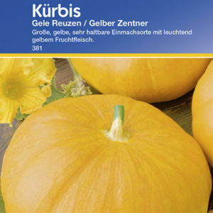 Vrtnarstvo Breskvar - Cucurbita pepo Gele Reuzen