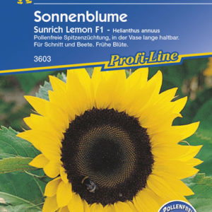 Vrtnarstvo Breskvar - Helianthus annuus Sunrich Lemon F1