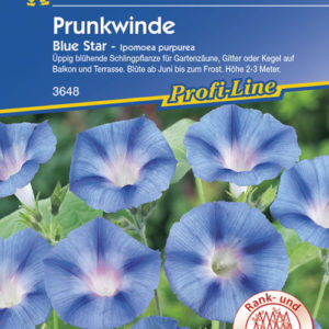Vrtnarstvo Breskvar - Ipomoea purpurea Blue Star