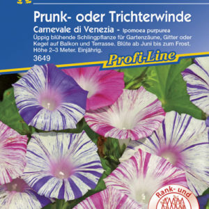 Vrtnarstvo Breskvar - Ipomoea purpurea Carnevale di Venezia