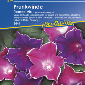 Vrtnarstvo Breskvar - Ipomoea purpurea Picotee Mix