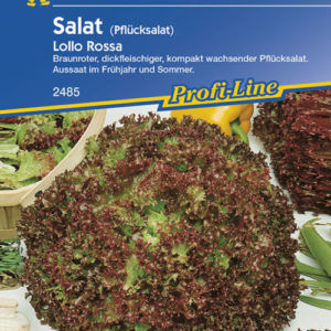 Vrtnarstvo Breskvar - Lactuca sativa Lollo rosa