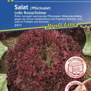 Vrtnarstvo Breskvar - Lactuca sativa Lollo rosa Solmar