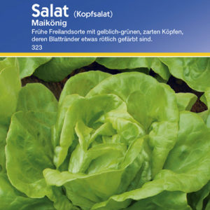 Vrtnarstvo Breskvar - Lactuca sativa Maikönig