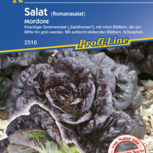 Vrtnarstvo Breskvar - Lactuca sativa Mordore