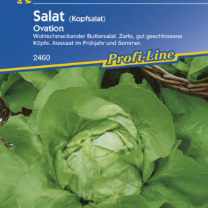 Vrtnarstvo Breskvar - Lactuca sativa Ovation