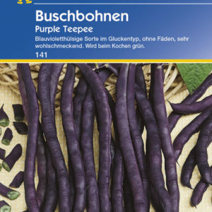 Vrtnarstvo Breskvar - Phaseolus vulgaris Purple Teepee