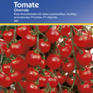 Vrtnarstvo Breskvar - Solanum lycopersicum Cherrola F1