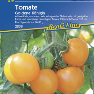 Solanum lycopersicum Goldene Königin