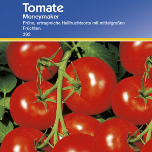 Vrtnarstvo Breskvar - Solanum lycopersicum Moneymaker