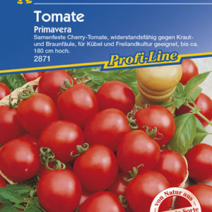 Solanum lycopersicum Primavera