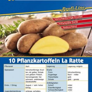 Solanum tuberosum La Ratte