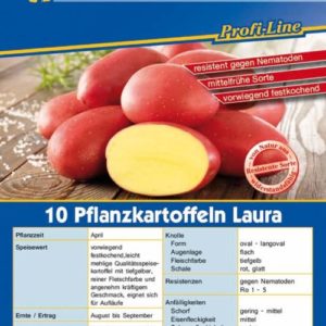 Vrtnarstvo Breskvar - Solanum tuberosum Laura