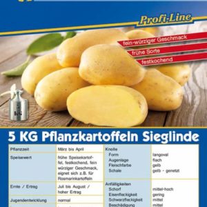 Vrtnarstvo Breskvar - Solanum tuberosum Sieglinde