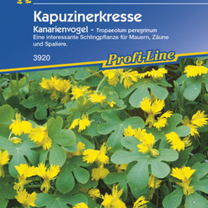 Vrtnarstvo Breskvar - Tropaeolum peregrinum Kanarienvogel