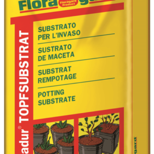 Vrtnarstvo Breskvar - Floradur Pot Primula – Viola