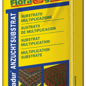 Vrtnarstvo Breskvar - Floradur Seed Floating Tobacco